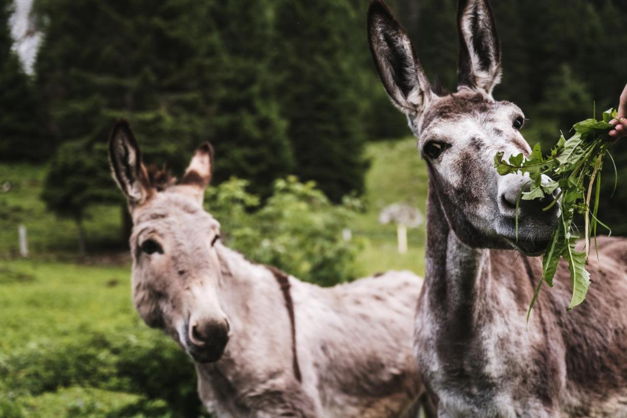 Heimspitze - Alpenhotel & Wirtshaus การ์กเอลเลิน ภายนอก รูปภาพ